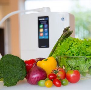Leveluk K8 with fruits